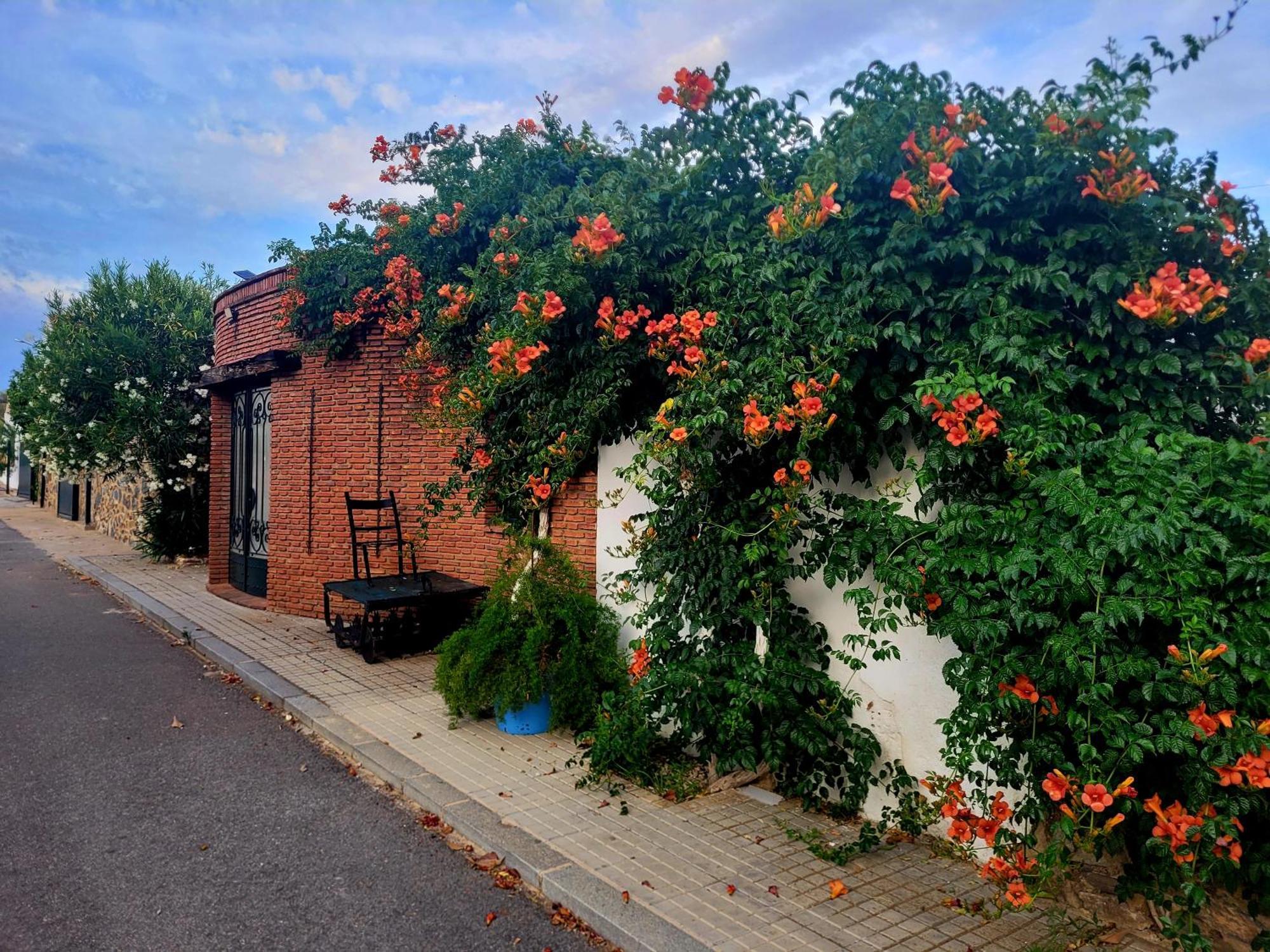 Complejo Rural El Soldado Villa Villanueva del Duque Екстериор снимка